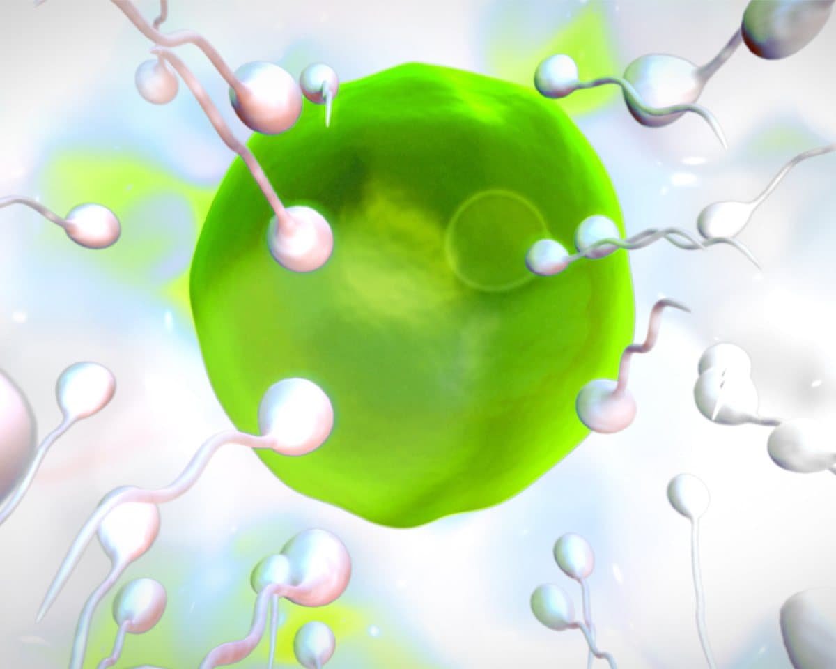 Illustration of sperm cells surrounding a green egg cell